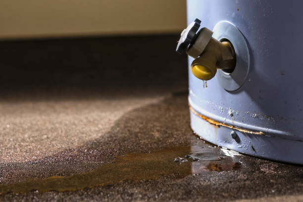 Best Water damage restoration near me  in Montpelier, IN