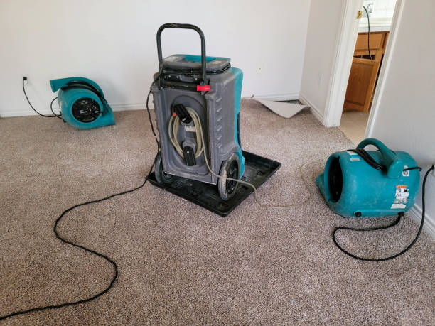 Best Professional water damage repair  in Montpelier, IN