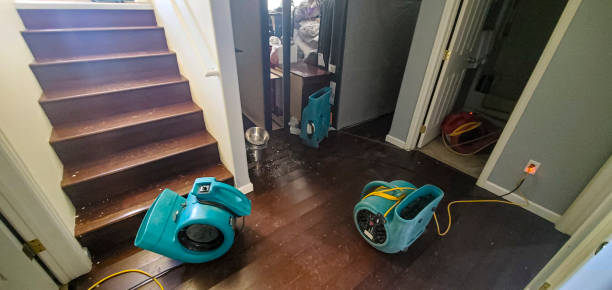 Best Water damage cleanup near me  in Montpelier, IN