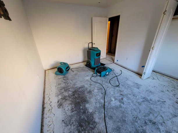 Best Flood damage cleanup  in Montpelier, IN