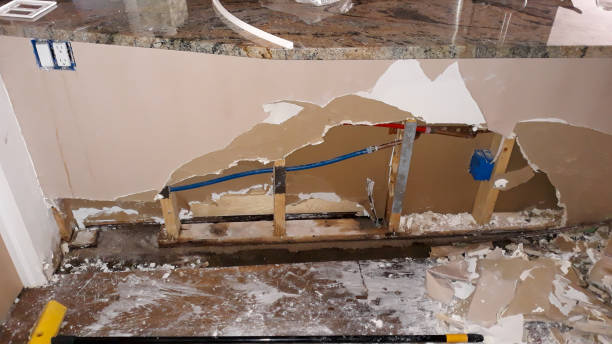Best Carpet water damage restoration  in Montpelier, IN