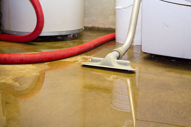 Best Water damage restoration near me  in Montpelier, IN