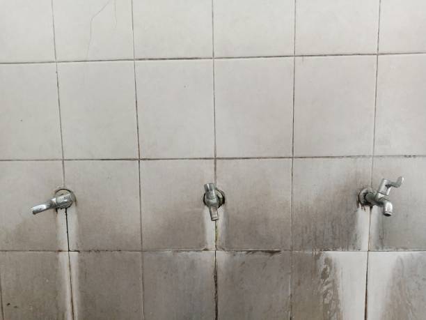 Sewage cleanup and water damage restoration in IN