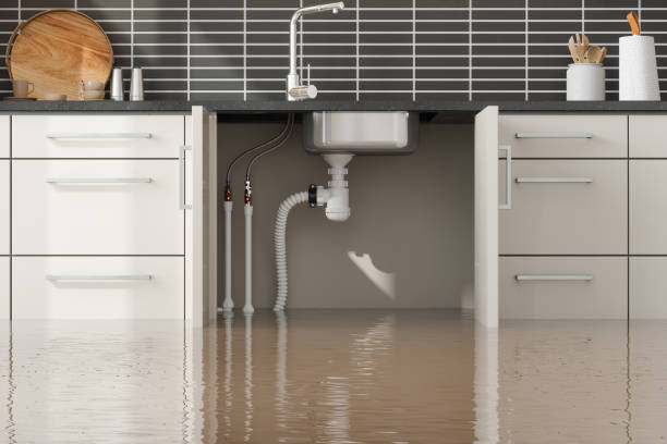 Best Flood restoration services  in Montpelier, IN