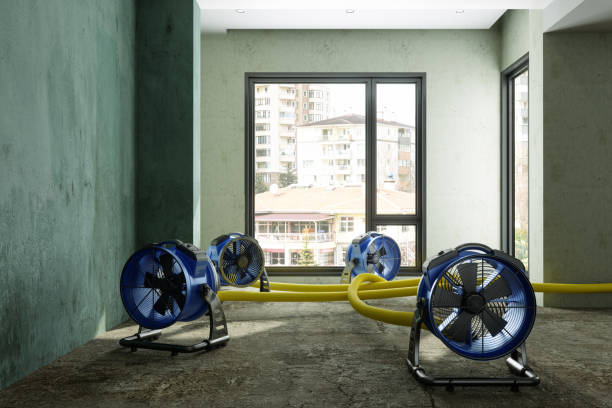 Best Local water damage restoration  in Montpelier, IN